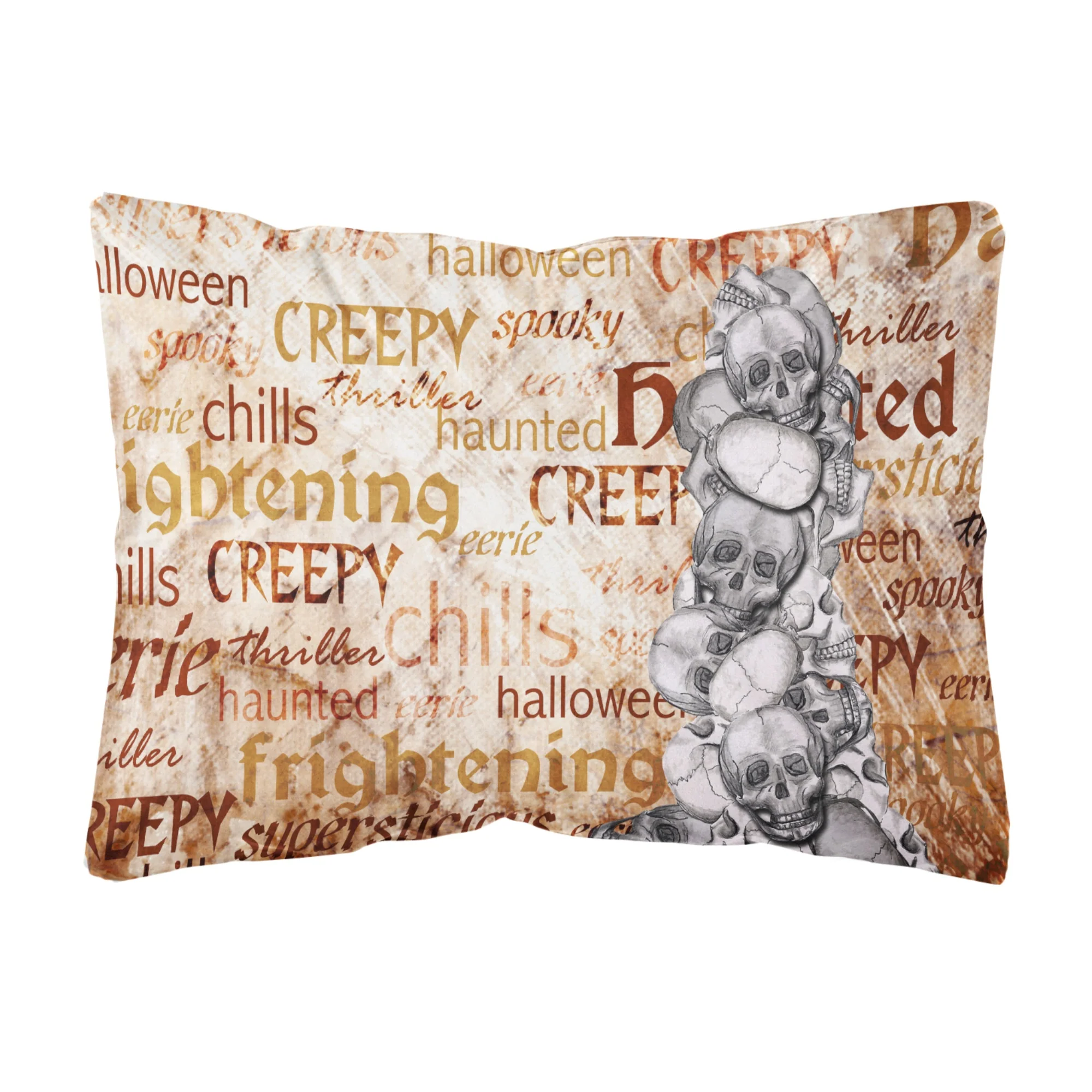 'Caroline'S Treasures Creepy, Haunted & Frightful With Skulls Fabric Decorative Pillow, Large, Multicolor'