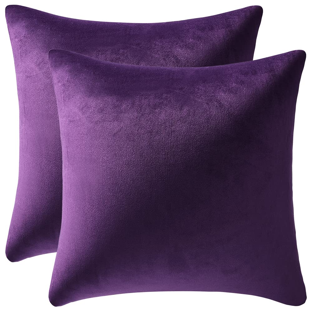 Dezene 20X20 Throw Pillow Cases Purple: 2 Pack Cozy Soft Velvet Square Decorative Pillow Covers For Farmhouse Home Decor