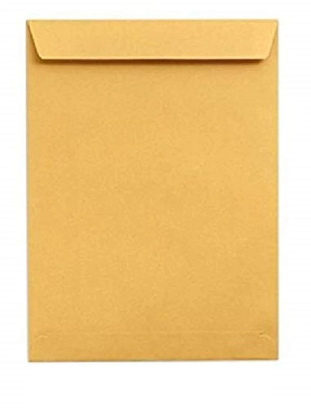 True-Ally Laminated Yellow Paper Large Size Envelope Ideal For Home Office Secure Mailing | Poly Laminated Inside | 12 X16 Inch